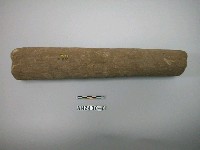 藏品(石杵)的圖片